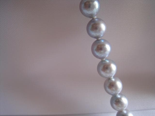 Amber oyster gray Akoya pearls 7.0mm-7.5mm silver necklace 43 cm length