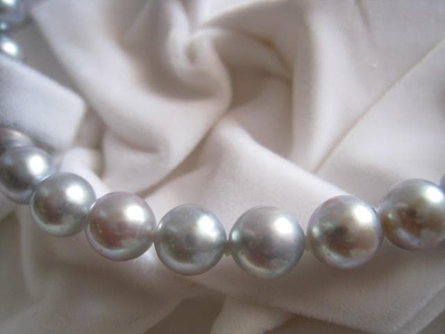 Amber oyster gray Akoya pearls 7.0mm-7.5mm silver necklace 43 cm length