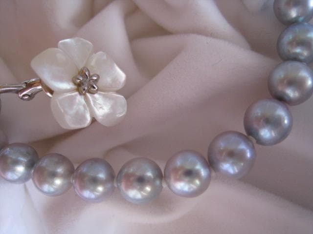 Amber oyster gray Akoya pearls 7.0mm-7.5mm silver necklace 43 cm length
