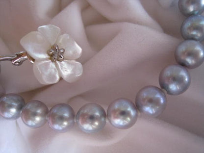 Amber oyster gray Akoya pearls 7.0mm-7.5mm silver necklace 43 cm length