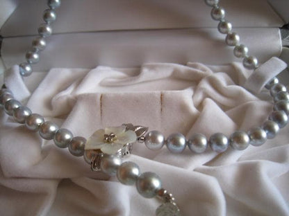 Amber oyster gray Akoya pearls 7.0mm-7.5mm silver necklace 43 cm length