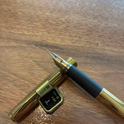 New PILOT fountain pen featuring an 18K gold nib with sleek black body and silver accents