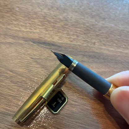 New PILOT fountain pen featuring an 18K gold nib with sleek black body and silver accents