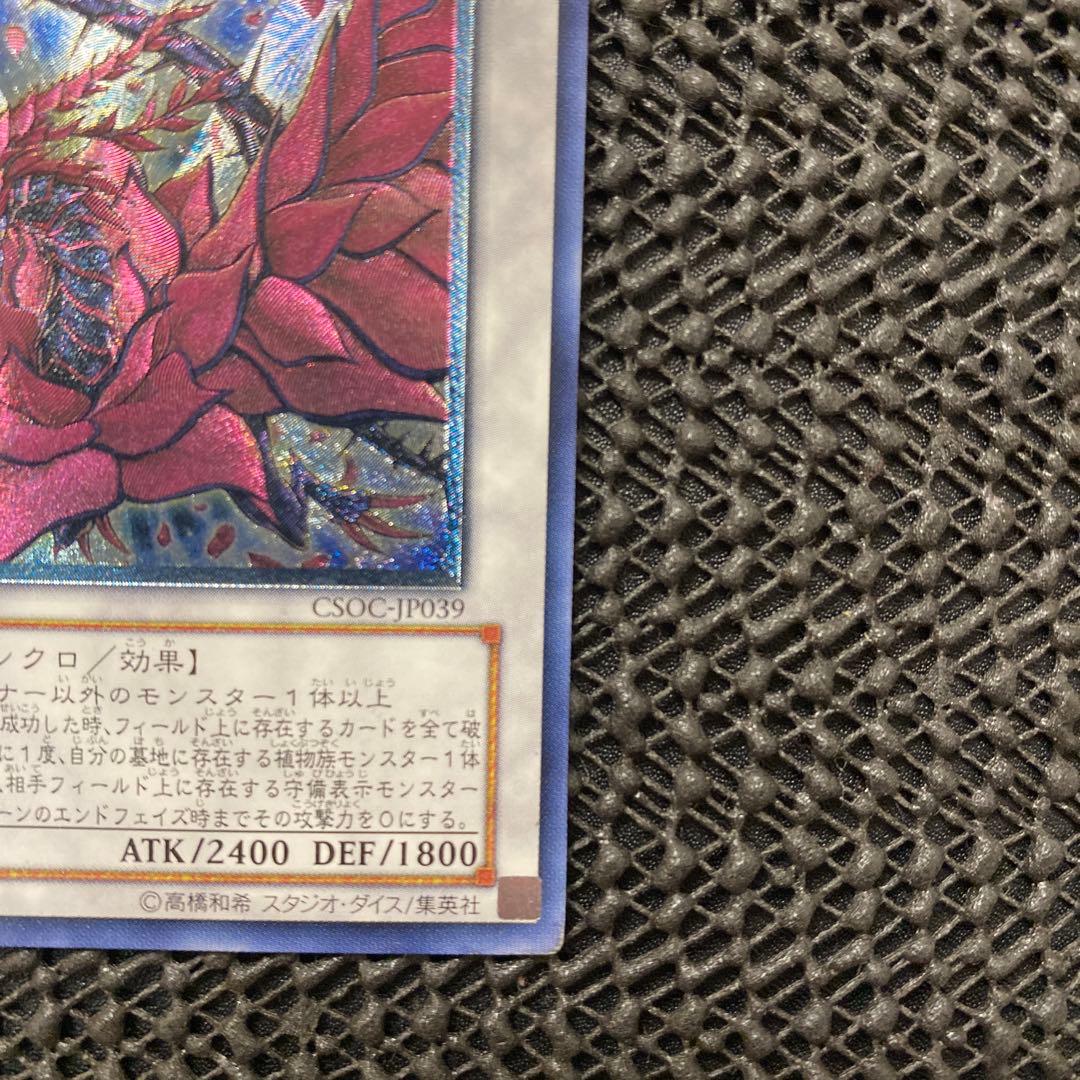 Yu-Gi-Oh Black Rose Dragon — Japanese