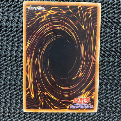 Yu-Gi-Oh Black Rose Dragon — Japanese