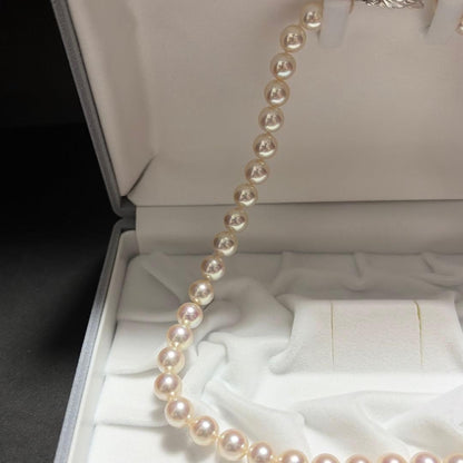 K14WG Akoya pearl necklace featuring 8.0mm pearls, 42 cm length, displayed on a white background