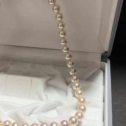 K14WG Akoya pearl necklace featuring 8.0mm pearls, 42 cm length, displayed on a white background
