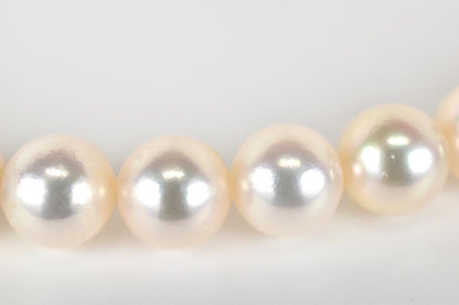 TASAKI Akoya pearl necklace with 53 pearls sized approximately 7.5 to 7.8mm and silver clasp