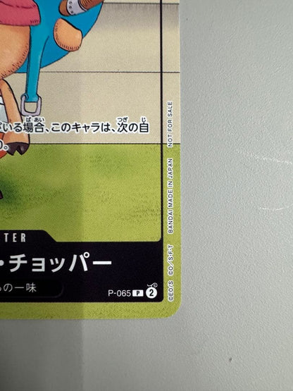 One Piece Tony Tony Chopper WINTER — Japanese