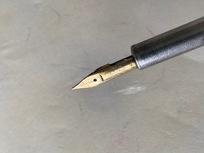 PILOT Capless Initial Model fountain pen with 14K nib in good condition shown from multiple angles
