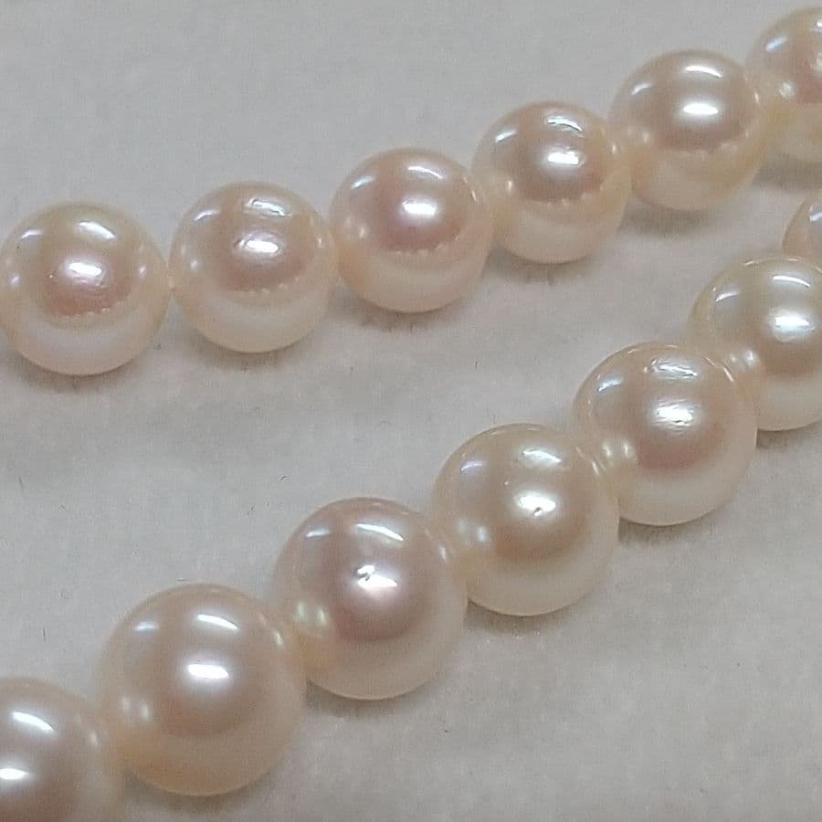 Law Akoya cultured pearl necklace with 6.5-7mm round white to cream pearls and silver clasp on a white background