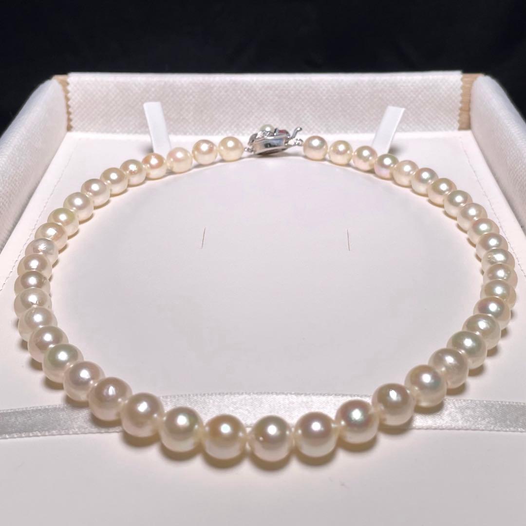 Oyster pearl necklace with round white pearls sized 8.3-8.8mm and ruby clasp with silver stamp