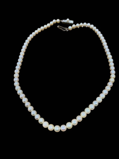 Akoya pearl necklace featuring 5.1mm pearls with silver mark setting on a 41 cm chain