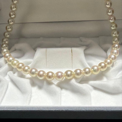 K14WG Mikimoto Akoya Pearl Necklace featuring 7.3-7.8mm high luster round pearls on a 37.5cm chain