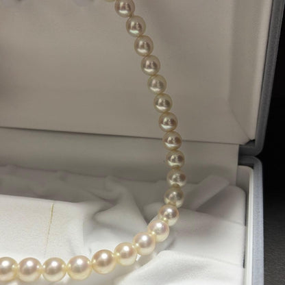 K14WG Mikimoto Akoya Pearl Necklace featuring 7.3-7.8mm high luster round pearls on a 37.5cm chain