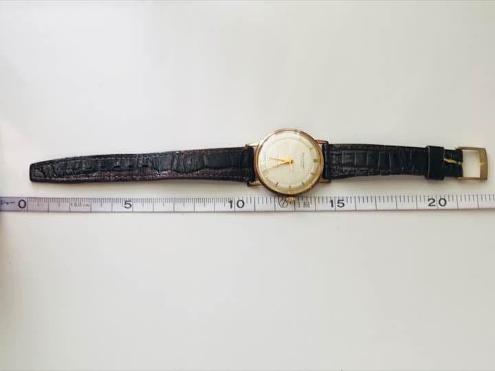 Citizen Homer Manual Men's Watch — Japanese