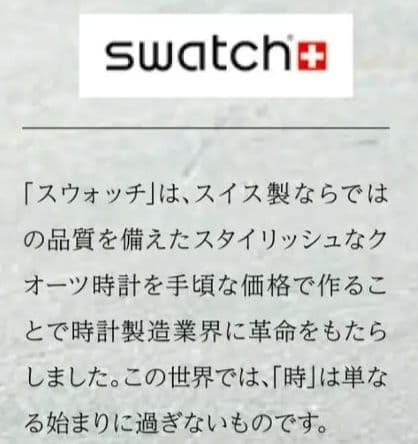 swatch SBTR009 Quartz Men's — Japanese