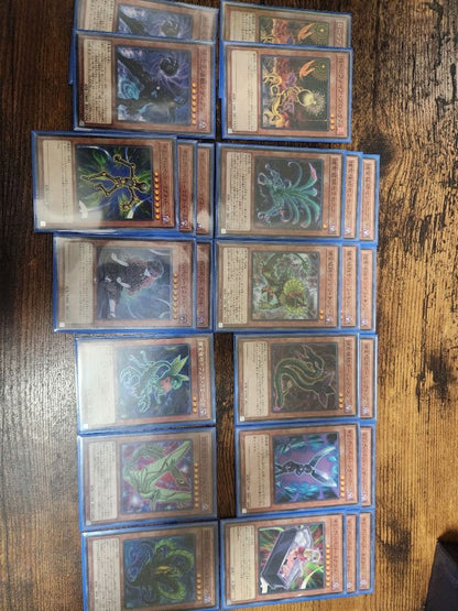Yu-Gi-Oh Yu-Gi-Oh! Tamarias, the Colossal Predator Pet Plant Deck — Japanese
