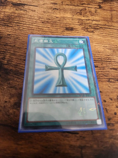 Yu-Gi-Oh Yu-Gi-Oh! Tamarias, the Colossal Predator Pet Plant Deck — Japanese