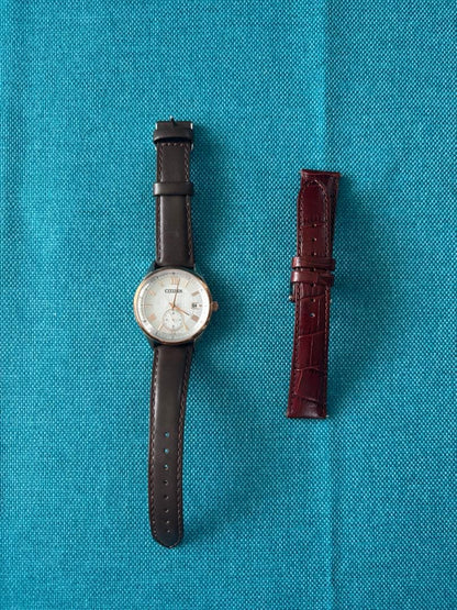 Citizen SBTR009 Quartz Men's Watch — Japanese