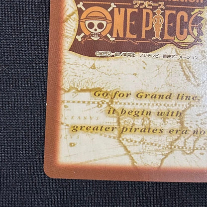 One Piece Nami — Japanese