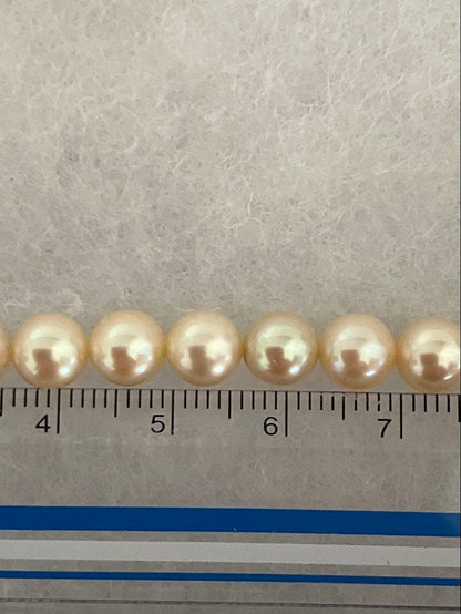 Akoya pearl necklace with 6.5-6.8mm pearls measuring 43.5 cm length on white background