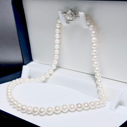 Honorable Pearl Akoya 6.5-6.9mm white pearl necklace with silver SV clasp, 42cm length