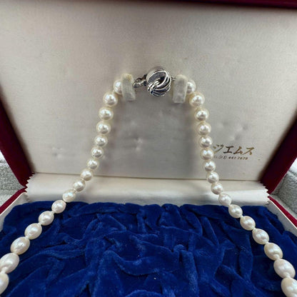 Oyster pearl necklace featuring 8mm white Akoya pearls strung on a classic design