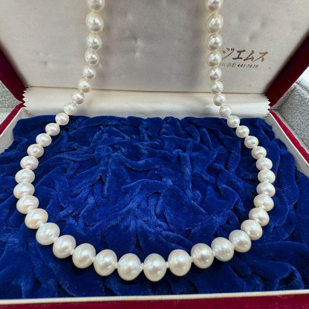 Oyster pearl necklace featuring 8mm white Akoya pearls strung on a classic design