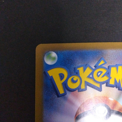 Pokemon Pokémon Card Zeiyu SAR — Japanese