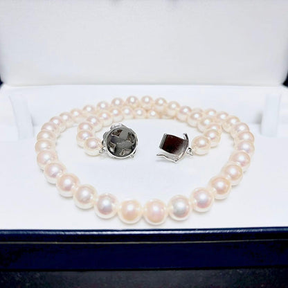 Honka Pearl Akoya necklace with 8.0-8.5mm white pearls and silver clasp on a white background