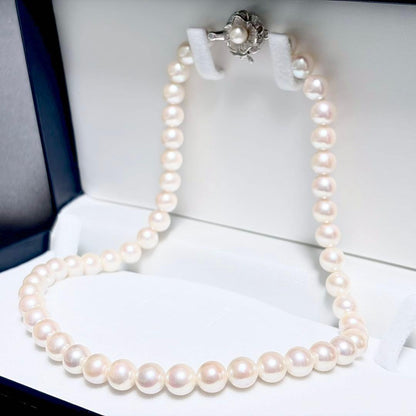 Honka Pearl Akoya necklace with 8.0-8.5mm white pearls and silver clasp on a white background