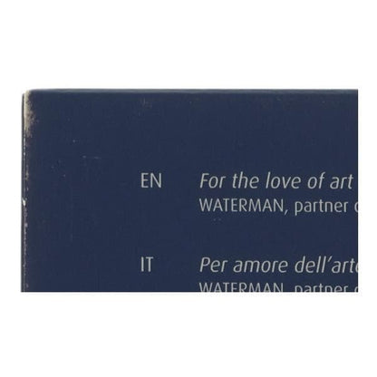 WATERMAN agnis b. metal ballpoint pen with ink supply and aged external box with scratches