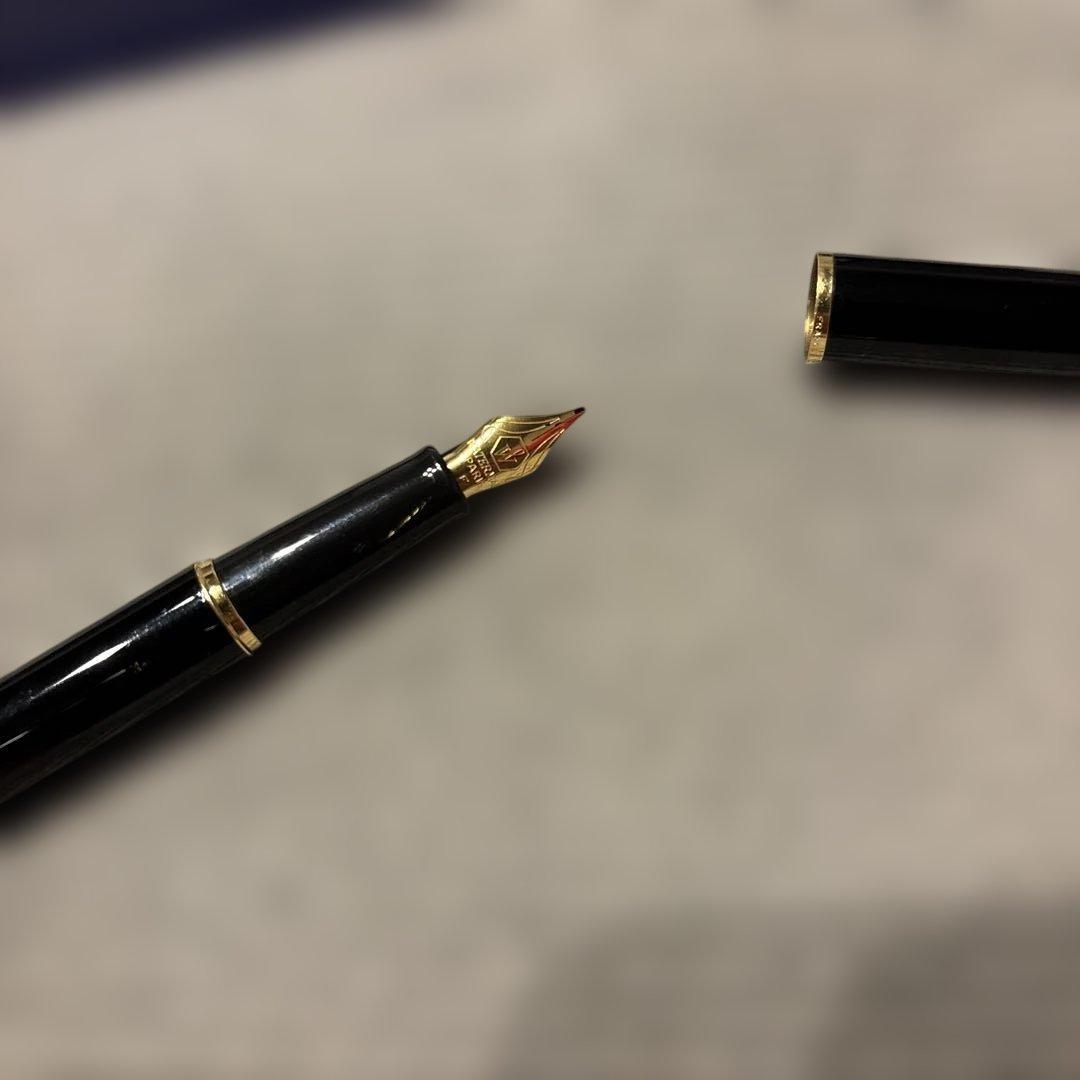 Used WATERMAN fountain pen with fine tip and converter showing minor scratches