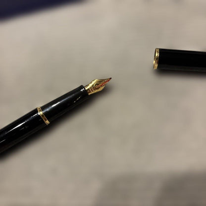 Used WATERMAN fountain pen with fine tip and converter showing minor scratches