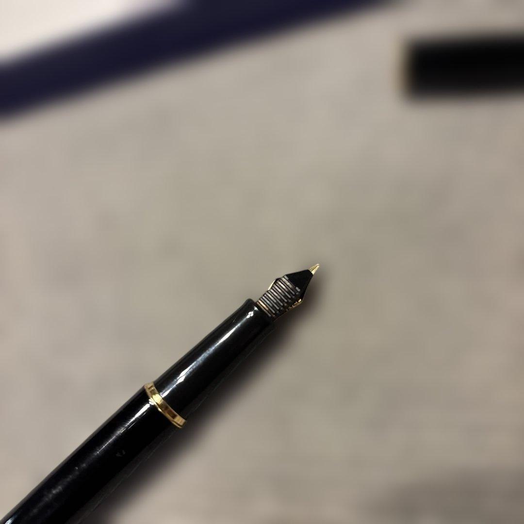 Used WATERMAN fountain pen with fine tip and converter showing minor scratches