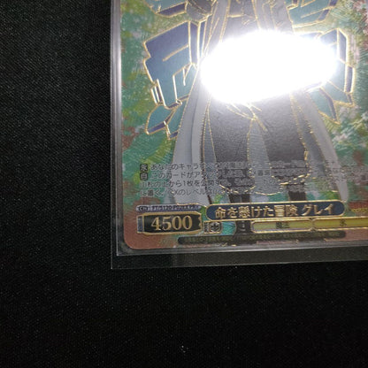 Yu-Gi-Oh Victory: A Life-or-Death Adventure Gray — Japanese