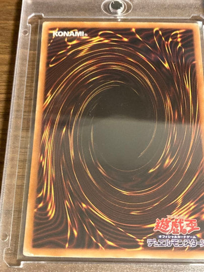 Yu-Gi-Oh Ash Blossom & Joyous Spring — Japanese