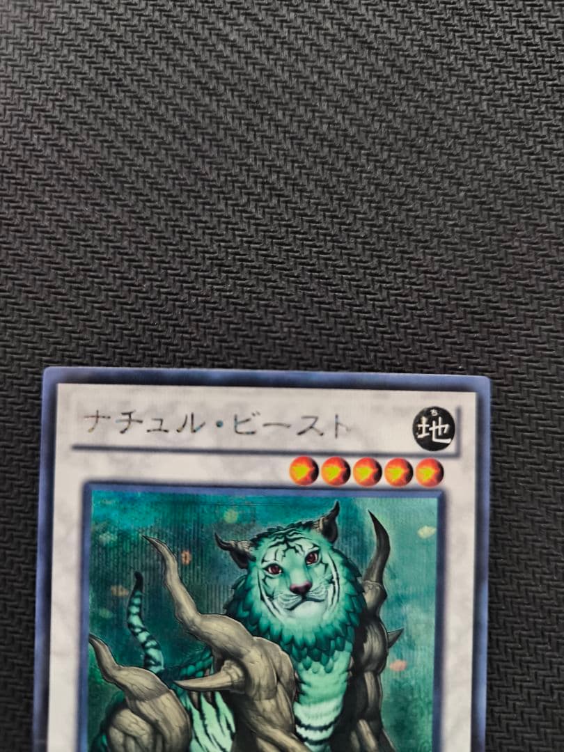 Yu-Gi-Oh Natu…l Beast Secret Shik Chronicle Terminal — Japanese