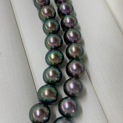 Close-up of Akoya dyed pearl necklace with 7-7.5mm pearls and silver clasp on white background