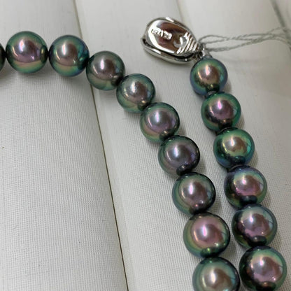 Close-up of Akoya dyed pearl necklace with 7-7.5mm pearls and silver clasp on white background