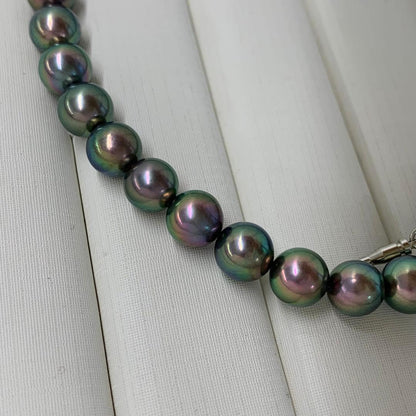 Close-up of Akoya dyed pearl necklace with 7-7.5mm pearls and silver clasp on white background