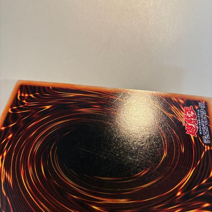 Yu-Gi-Oh Yu-Gi-Oh! Gate Guardian — Japanese