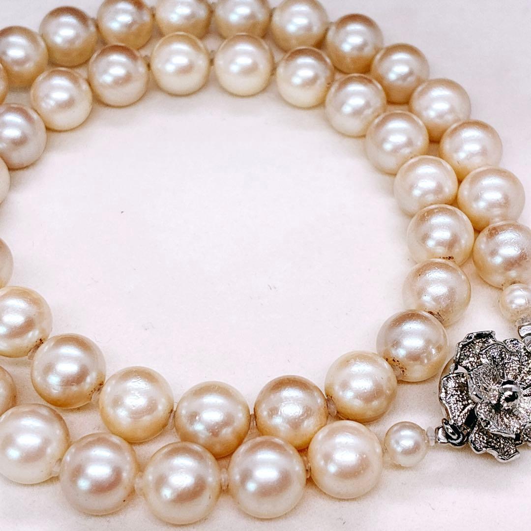Akaoya True Pearl Necklace with 43 cm length and lustrous white pearls on a clean background