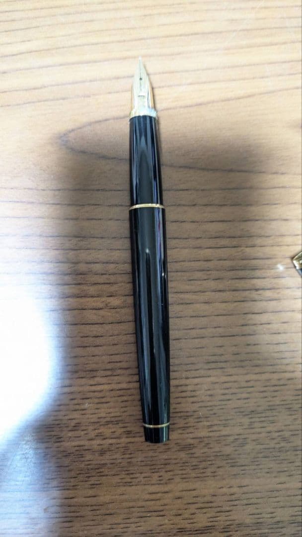 PILOT 1978 Grandee fountain pen with fine 14K gold nib displayed on white background
