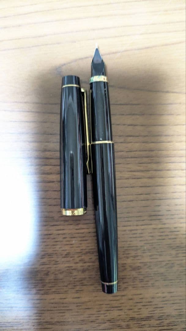 PILOT 1978 Grandee fountain pen with fine 14K gold nib displayed on white background