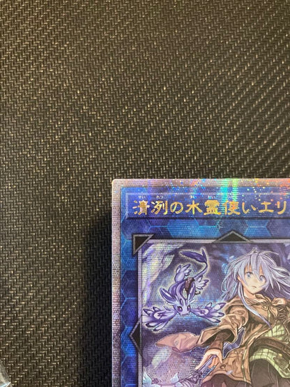 Yu-Gi-Oh Eria the Water Charmer — Japanese