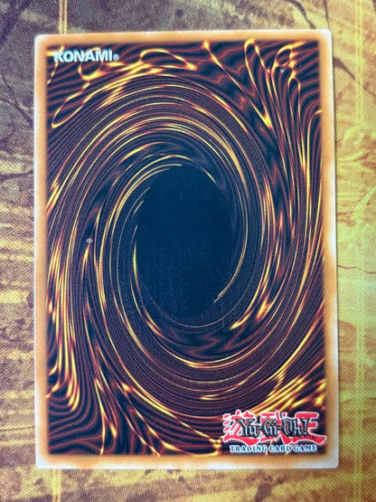 Yu-Gi-Oh Dahkana Neptune — English