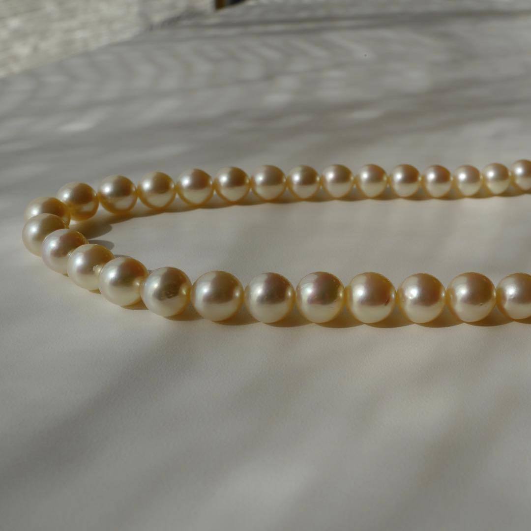 Akoya pearl necklace with genuine ivory pearls sized 8.6-7.0mm, 82cm long with clasp