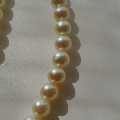 Akoya pearl necklace with genuine ivory pearls sized 8.6-7.0mm, 82cm long with clasp